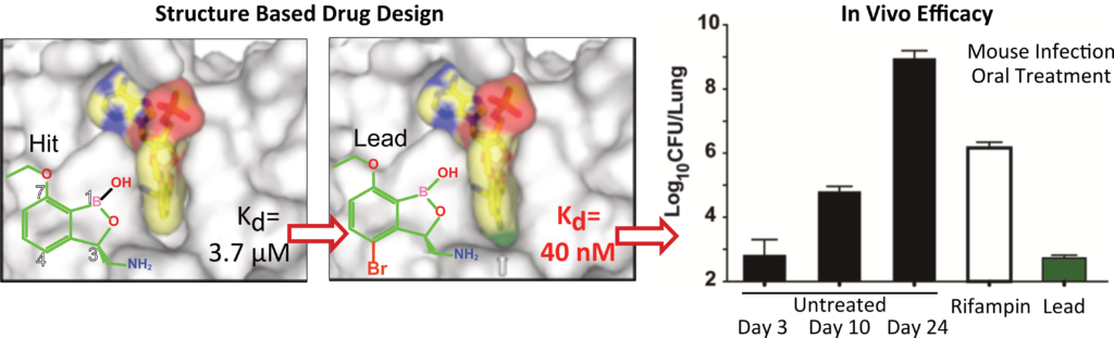 Palencia's Group. Structure-Based Drug Design